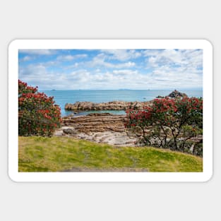 Scenic view from base of Mount Maunganui Sticker